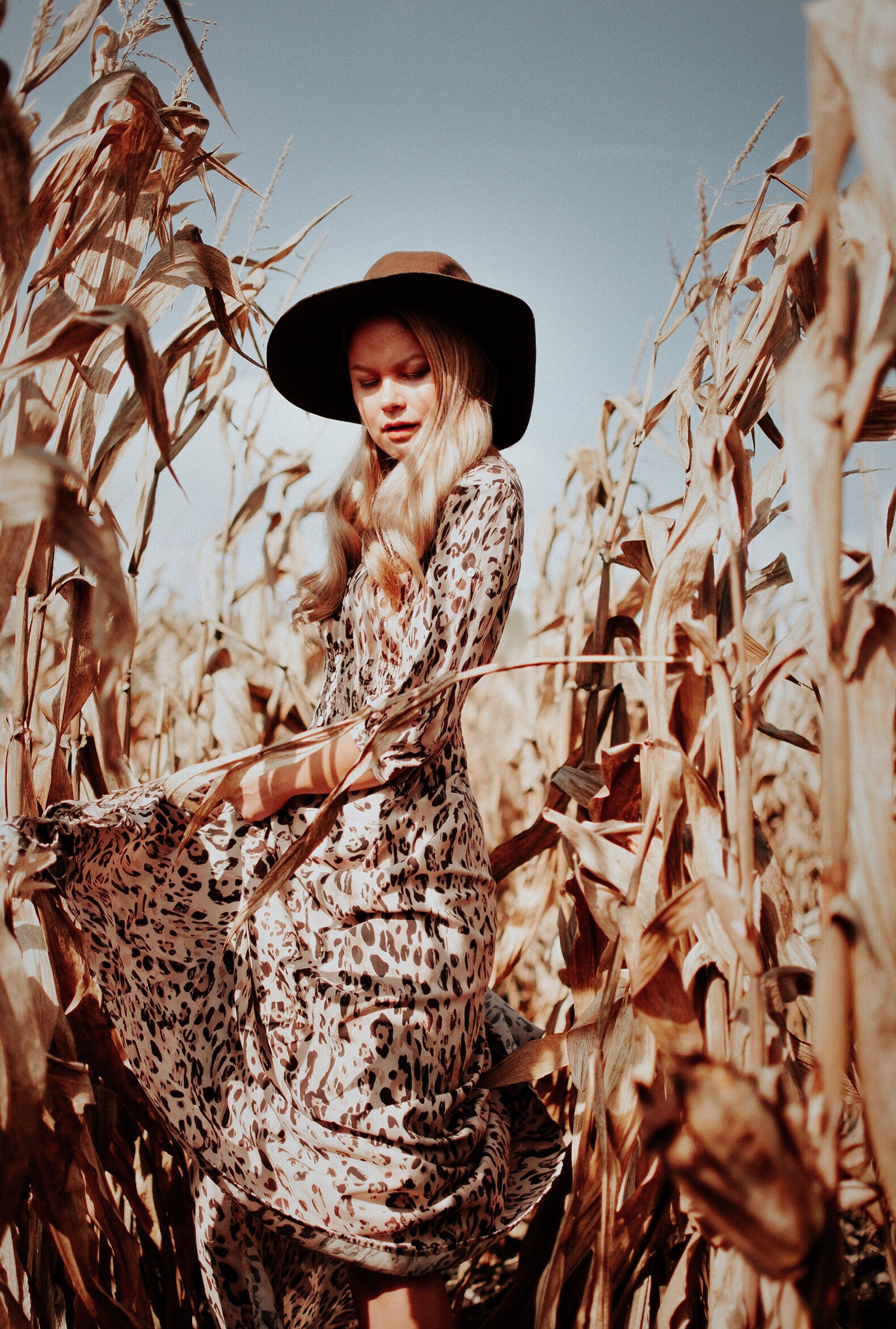 Cornfield-Jungle-Vanessa-Lambert-blogger-What-Would-V-Wear-leopard-print-dress