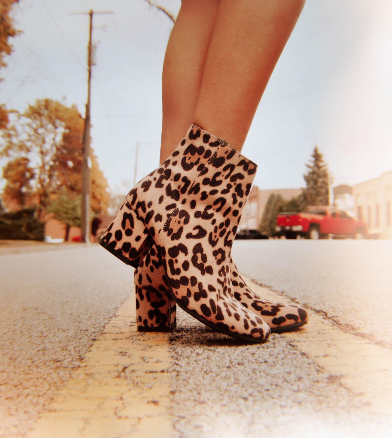  Leopard-Booties-Fall-Trend-Vanessa-Lambert-What-Would-V-Wear