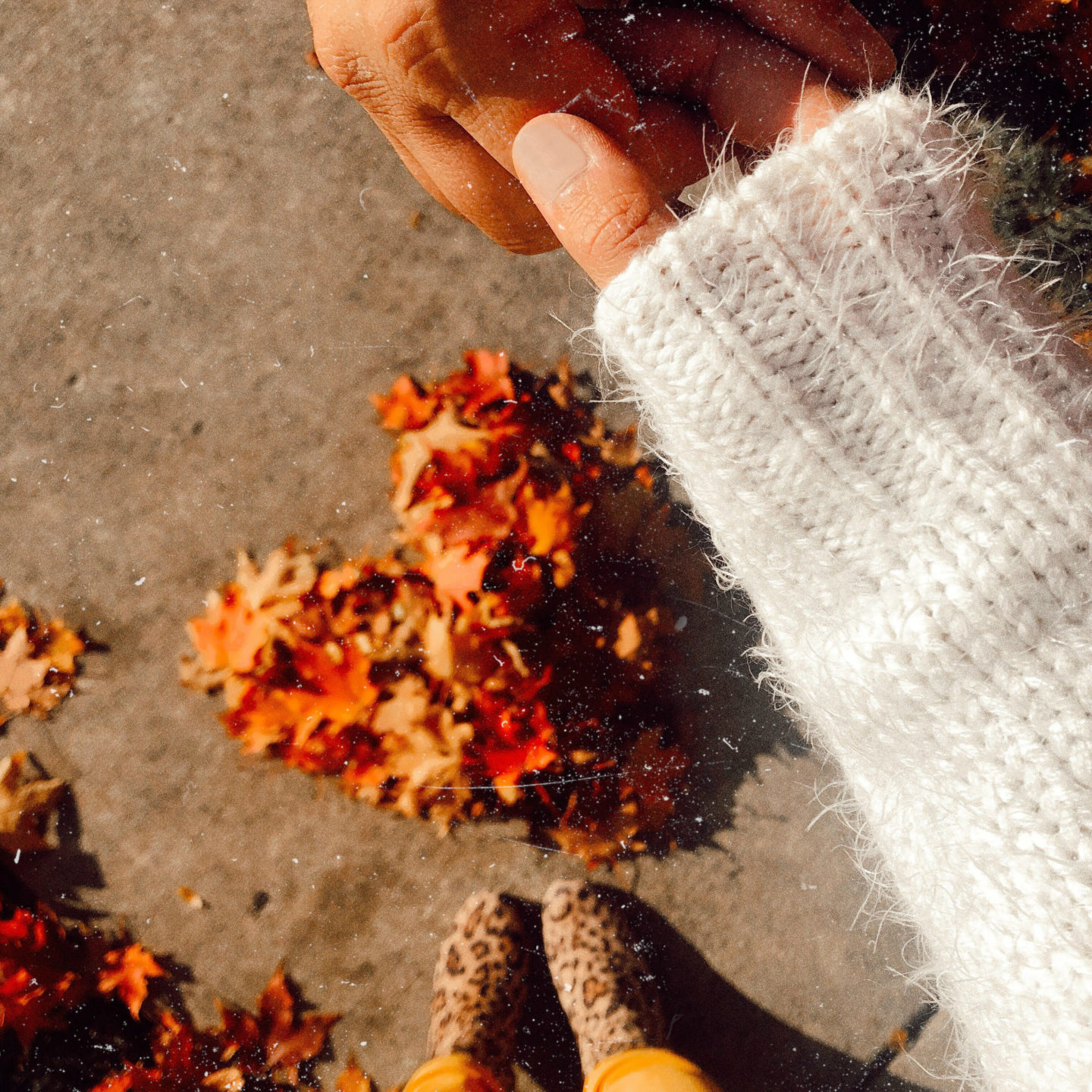  autumn-feels-love-vanessa-lambert-blogger-whatwouldvwear